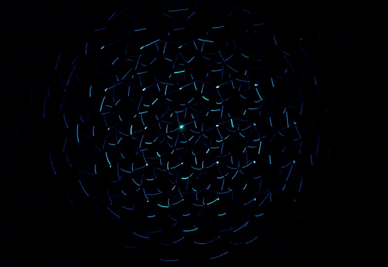 Czech–Austria Routes